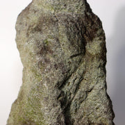 45630860
