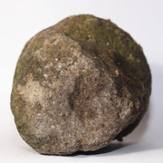 45630874