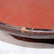 45749074