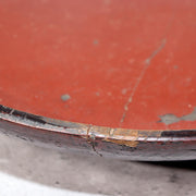 45749074