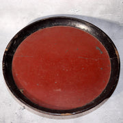 45749074