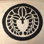 45749077