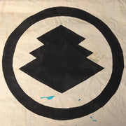 45749077