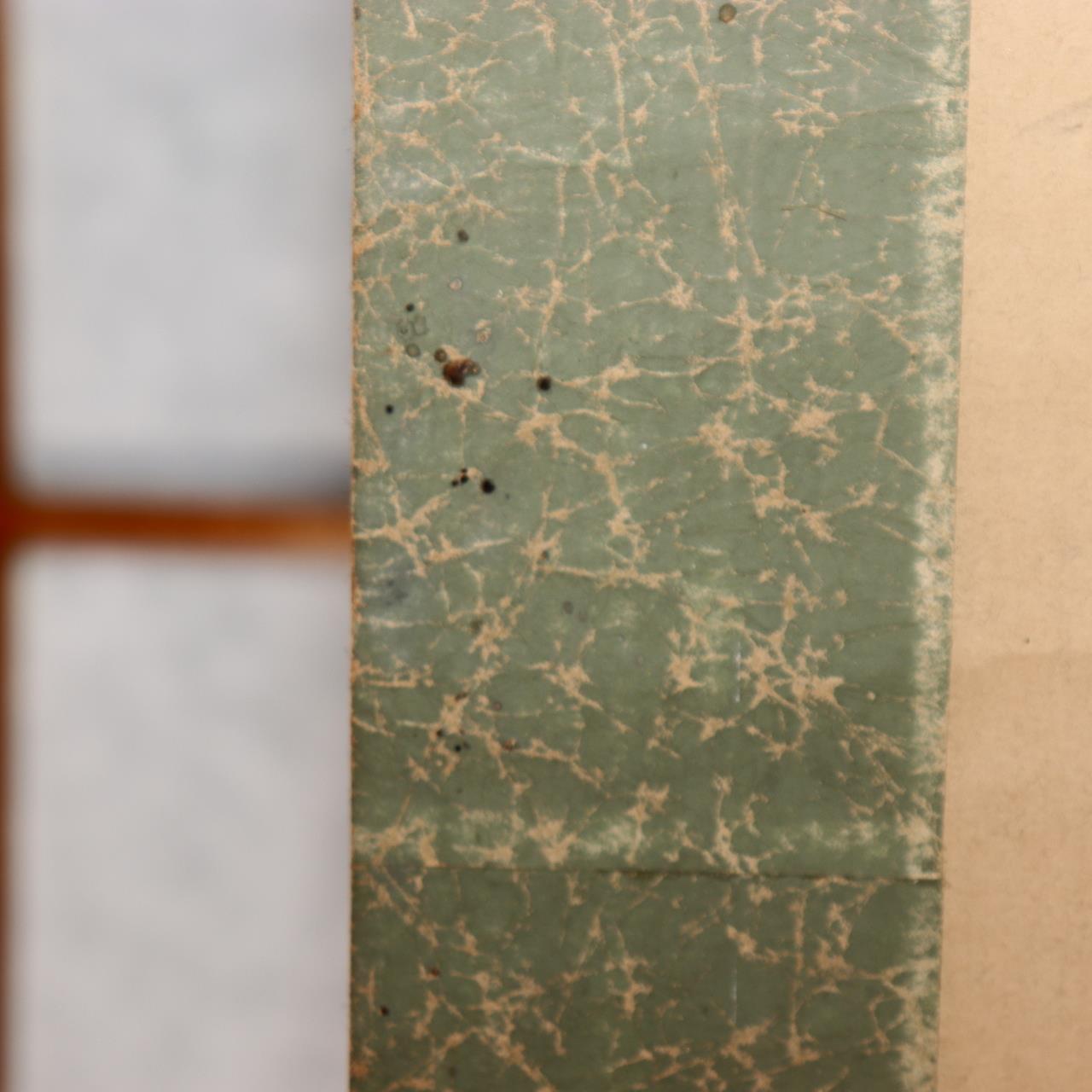 45749079