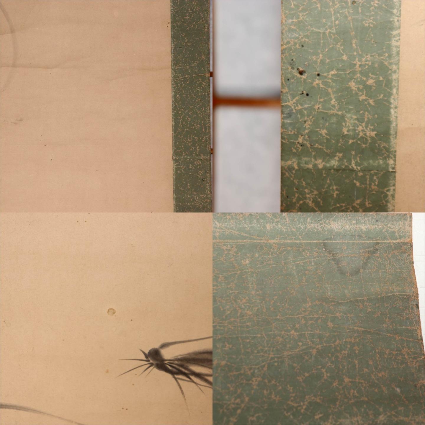 45749079