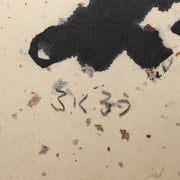 45848017