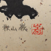 45848017