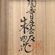 45815697