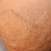45815695