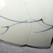 45848703