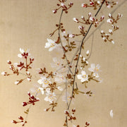 Japanese Hanging Scroll Kakejiku Imai Keiju Lantern Cherry Blossoms Temple6