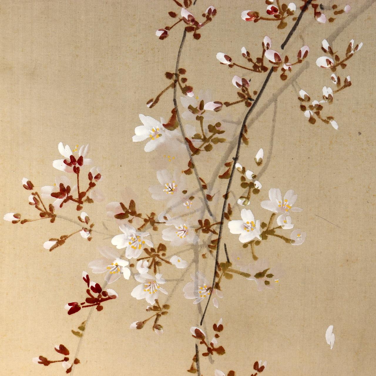 Japanese Hanging Scroll Kakejiku Imai Keiju Lantern Cherry Blossoms Temple6