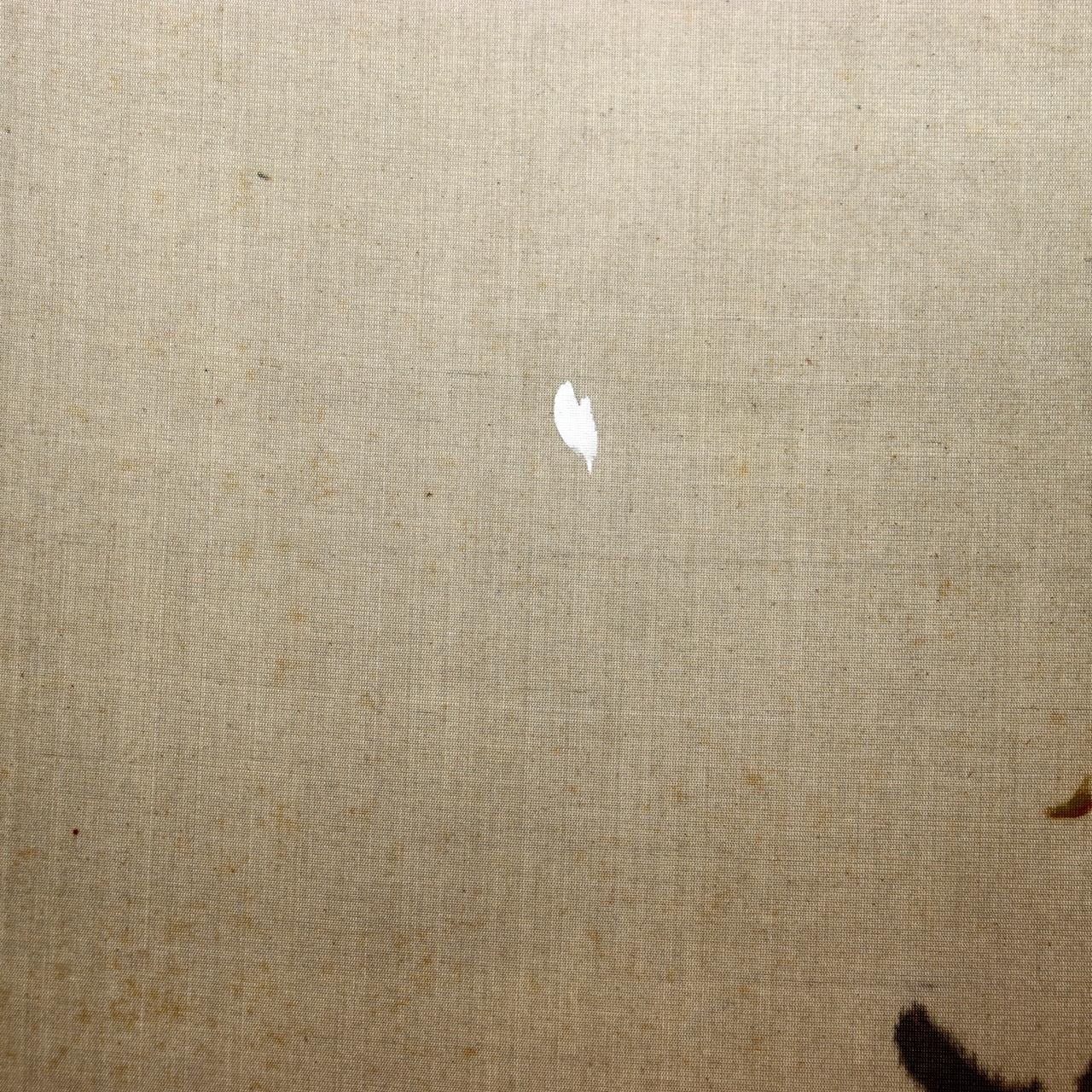 Japanese Hanging Scroll Kakejiku Imai Keiju Lantern Cherry Blossoms Temple11