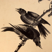 Japanese Hanging Scroll Kakejiku Crow and Loquat Ink Painting w / Box ASO4090