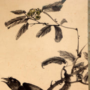 Japanese Hanging Scroll Kakejiku Crow and Loquat Ink Painting w / Box ASO4093