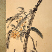 Japanese Hanging Scroll Kakejiku Crow and Loquat Ink Painting w / Box ASO4094