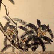 Japanese Hanging Scroll Kakejiku Crow and Loquat Ink Painting w / Box ASO4095