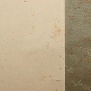 Japanese Hanging Scroll Kakejiku Crow and Loquat Ink Painting w / Box ASO40912