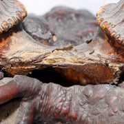 Japanese Deer Antler Sword Stand Kazuno Samurai Wooden Display Rack SWR35819