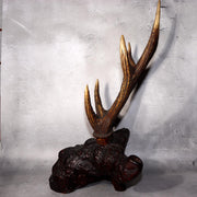 Japanese Deer Antler Sword Stand Kazuno Samurai Wooden Display Rack SWR3584