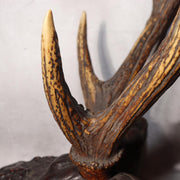 Japanese Deer Antler Sword Stand Kazuno Samurai Wooden Display Rack SWR35823