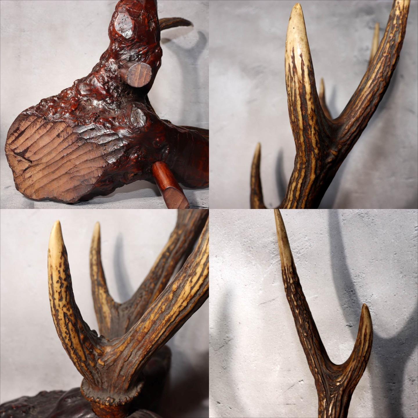 Japanese Deer Antler Sword Stand Kazuno Samurai Wooden Display Rack SWR3589