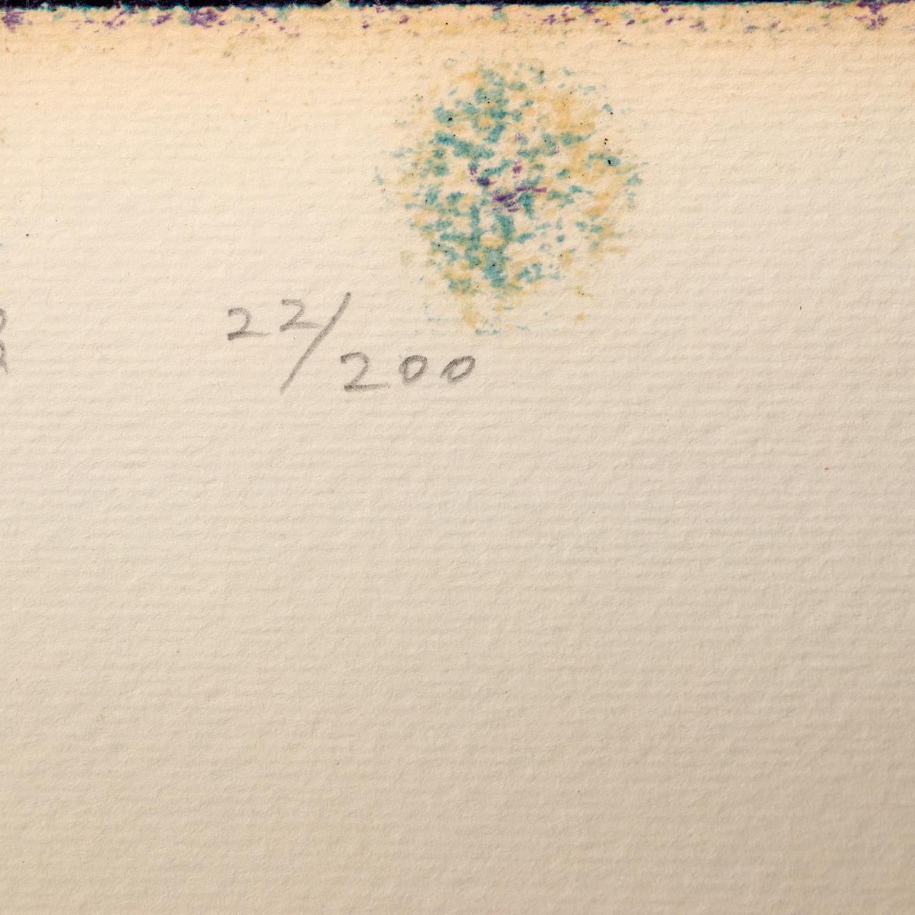 Japanese Modern Woodblock Print Masao Ohba Pisces Night Vintage Limited 22/2005