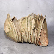 Japanese Antique Yama Chawan Gray Glazed Yama Chawan Fragment Pottery PCP270 -22