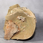 Japanese Antique Yama Chawan Gray Glazed Yama Chawan Fragment Pottery PCP270 -25