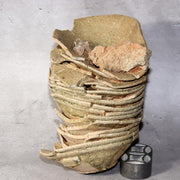 Japanese Antique Yama Chawan Gray Glazed Yama Chawan Fragment Pottery PCP270 -20