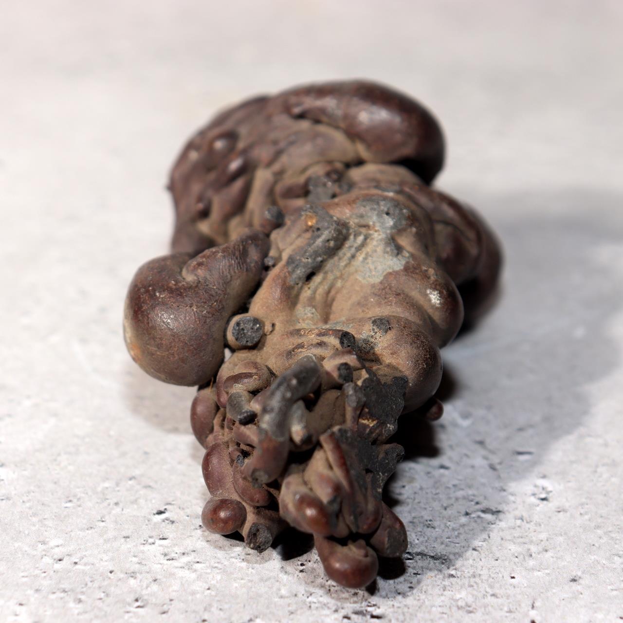 Japanese Natural Lava Stone Volcanic Sculpture Suiseki Art Object SS2121