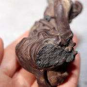 Japanese Natural Lava Stone Volcanic Sculpture Suiseki Art Object SS2127