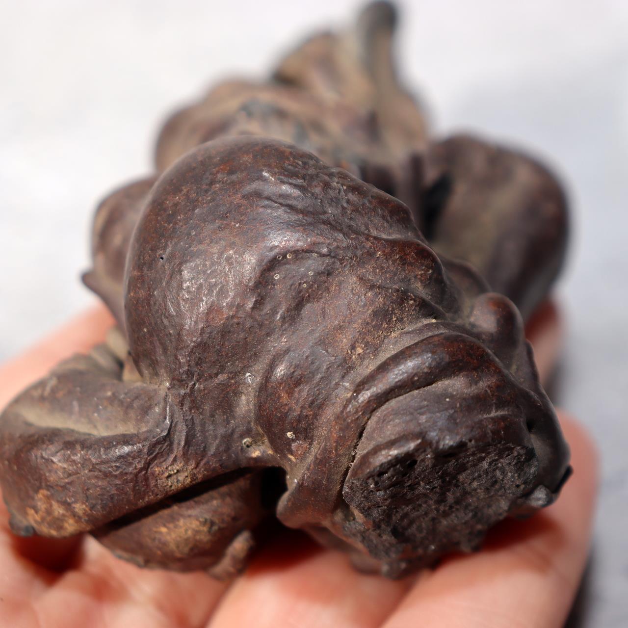 Japanese Natural Lava Stone Volcanic Sculpture Suiseki Art Object SS21210