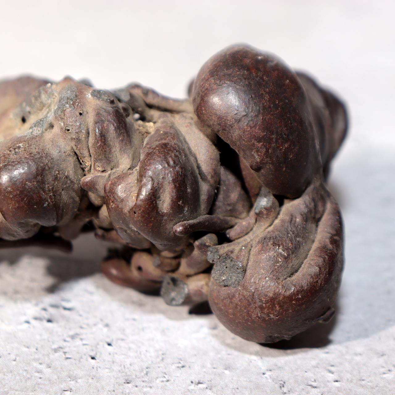 Japanese Natural Lava Stone Volcanic Sculpture Suiseki Art Object SS21214