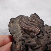 Japanese Natural Lava Stone Volcanic Sculpture Suiseki Art Object SS21311