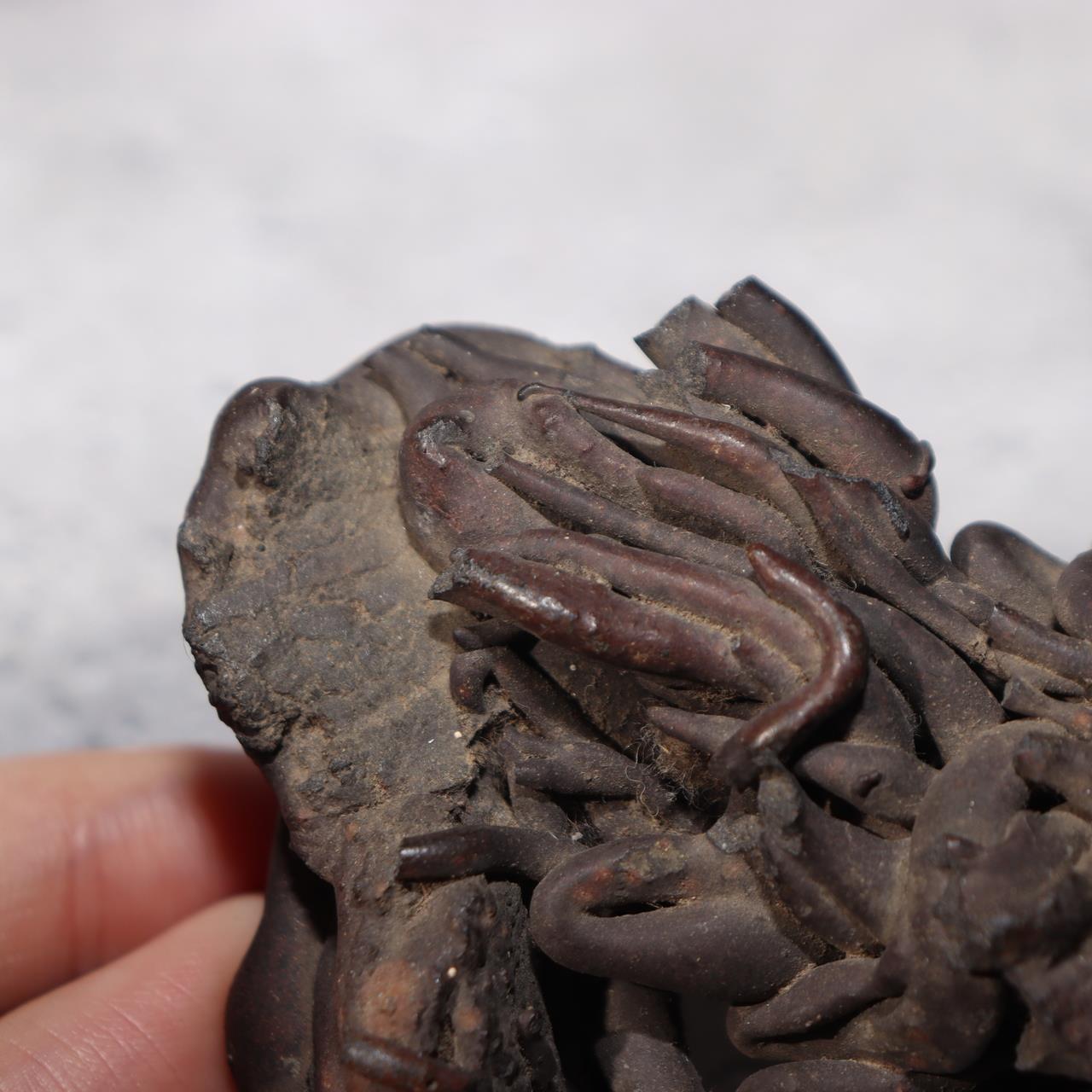 Japanese Natural Lava Stone Volcanic Sculpture Suiseki Art Object SS21311