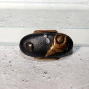 Japanese Edo Period Sword Fitting Kashira Bronze Shell Design Tsuba Part VG4061