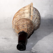 Japanese Vintage conch shell trumpet Horagai Yamabushi Shugendo Trumpet SG873