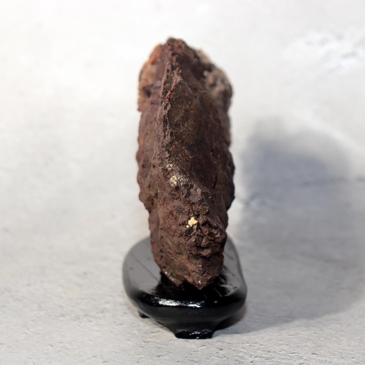 Japanese Kikkaseki Chrysanthemum Stone Neodani Gifu Suiseki Bonsai SS2141