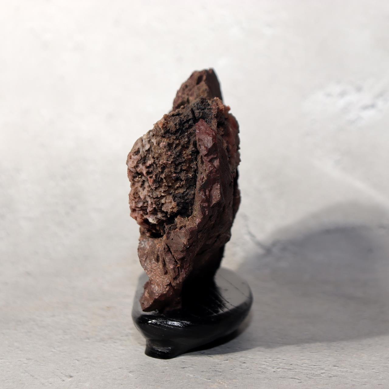 Japanese Kikkaseki Chrysanthemum Stone Neodani Gifu Suiseki Bonsai SS2143