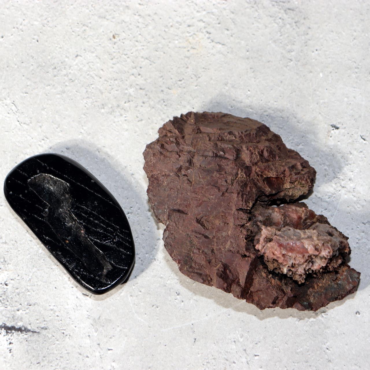 Japanese Kikkaseki Chrysanthemum Stone Neodani Gifu Suiseki Bonsai SS2144