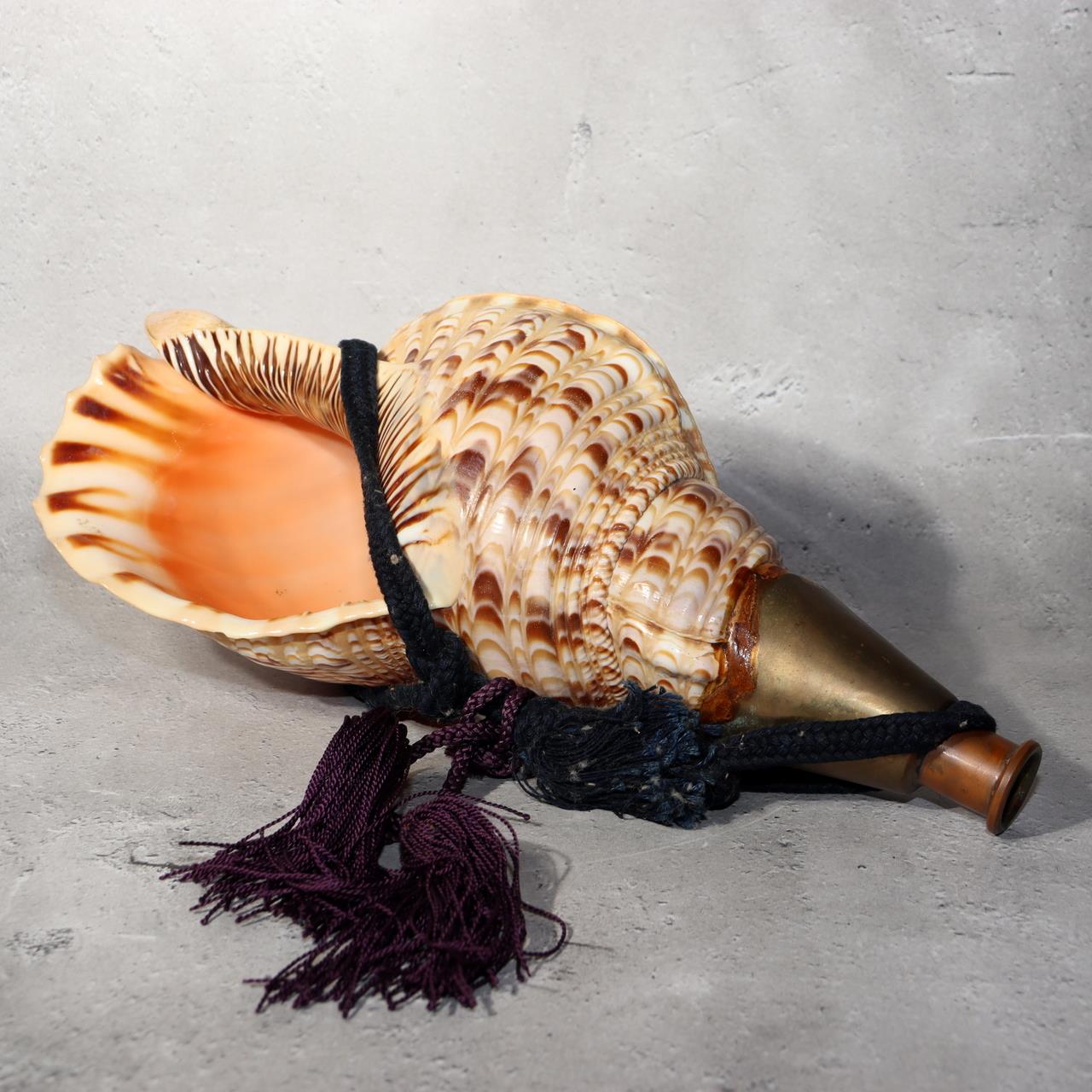 Japanese Vintage conch shell trumpet Horagai Yamabushi Shugendo Trumpet SG880