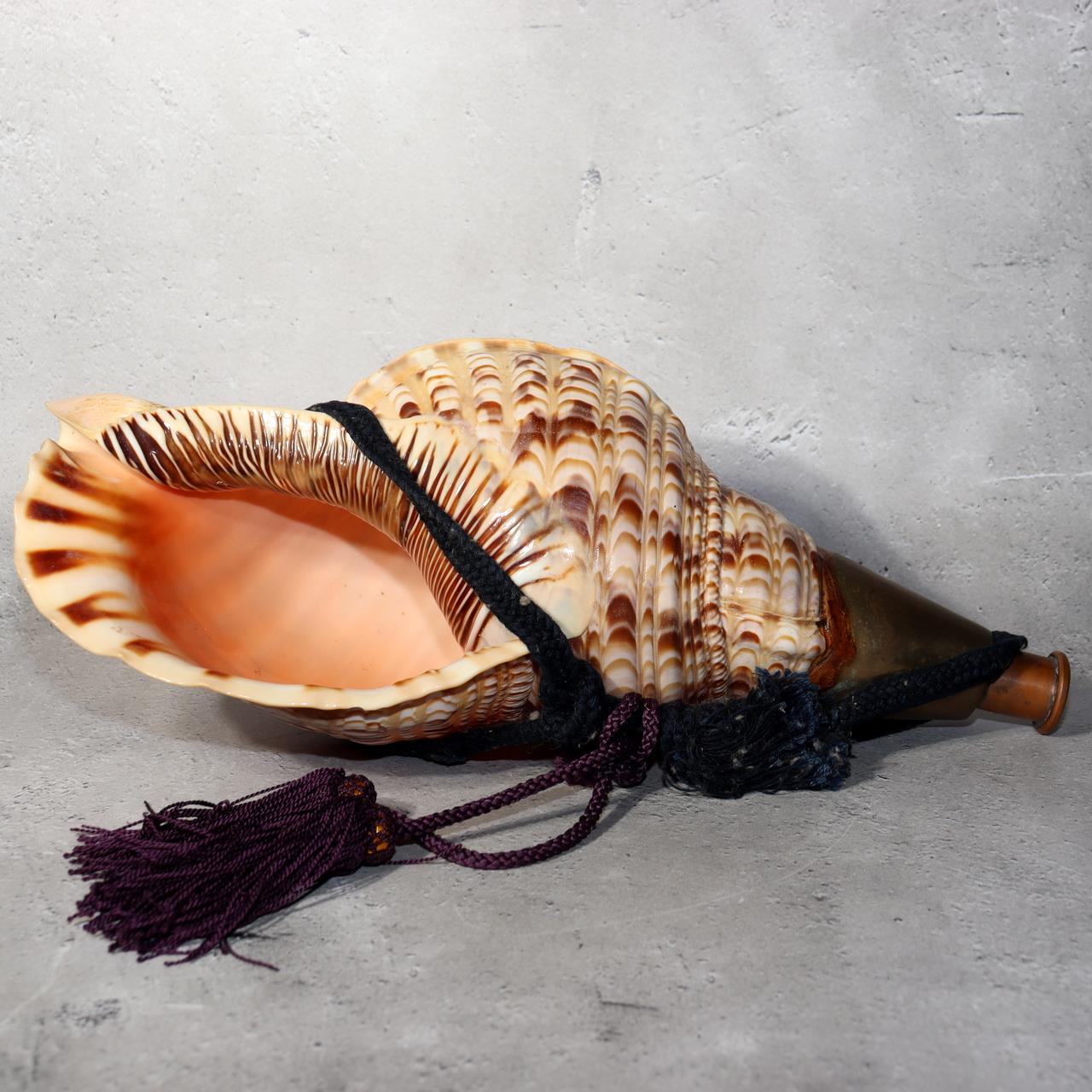 Japanese Vintage conch shell trumpet Horagai Yamabushi Shugendo Trumpet SG881