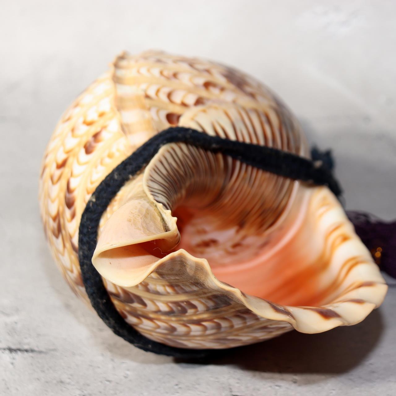 Japanese Vintage conch shell trumpet Horagai Yamabushi Shugendo Trumpet SG884