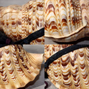 Japanese Vintage conch shell trumpet Horagai Yamabushi Shugendo Trumpet SG889