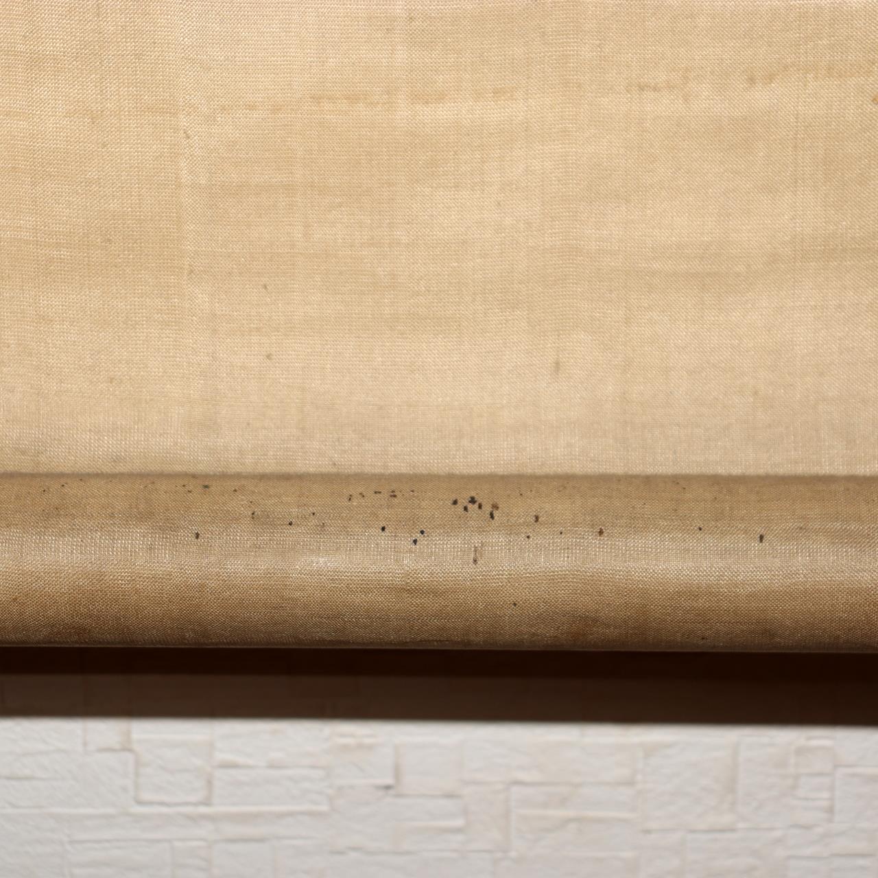 Japanese Scroll Kakejiku Fox Yokai Hakuzosu Nakajima Raisho Painting ASO42214