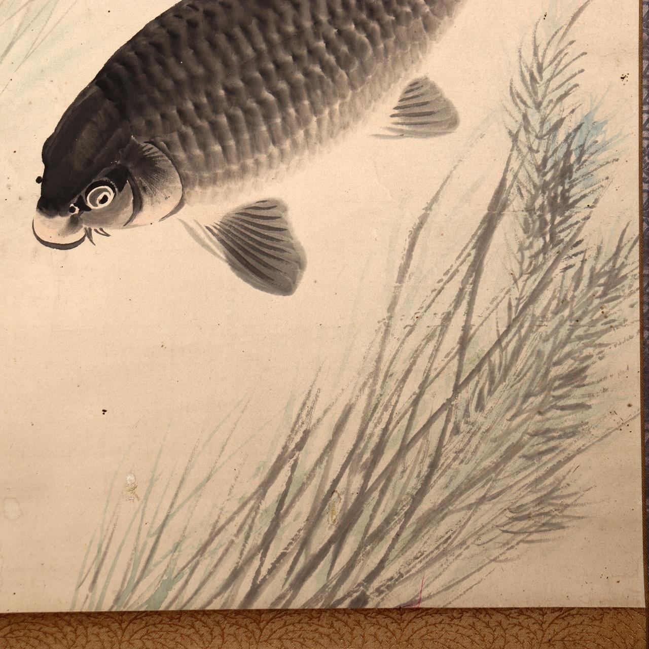 Japanese Kakejiku Scroll Carp Koi Fish Hand Painted Utsumi Kichido w / Box10