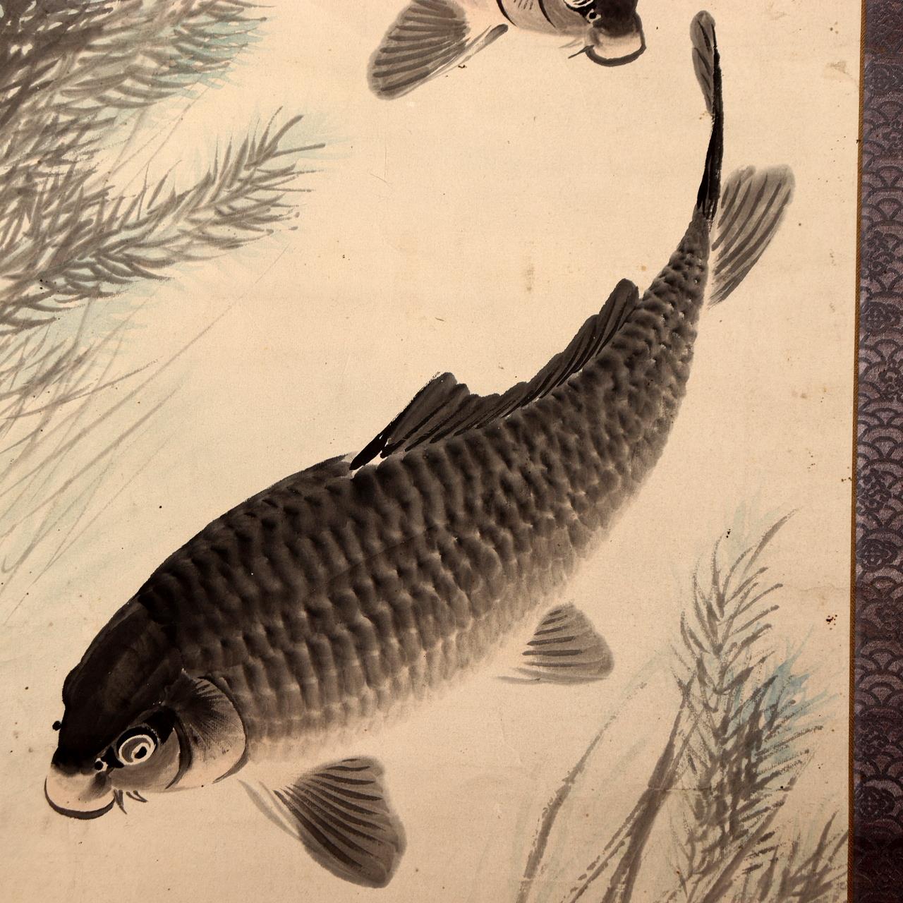 Japanese Kakejiku Scroll Carp Koi Fish Hand Painted Utsumi Kichido w / Box11