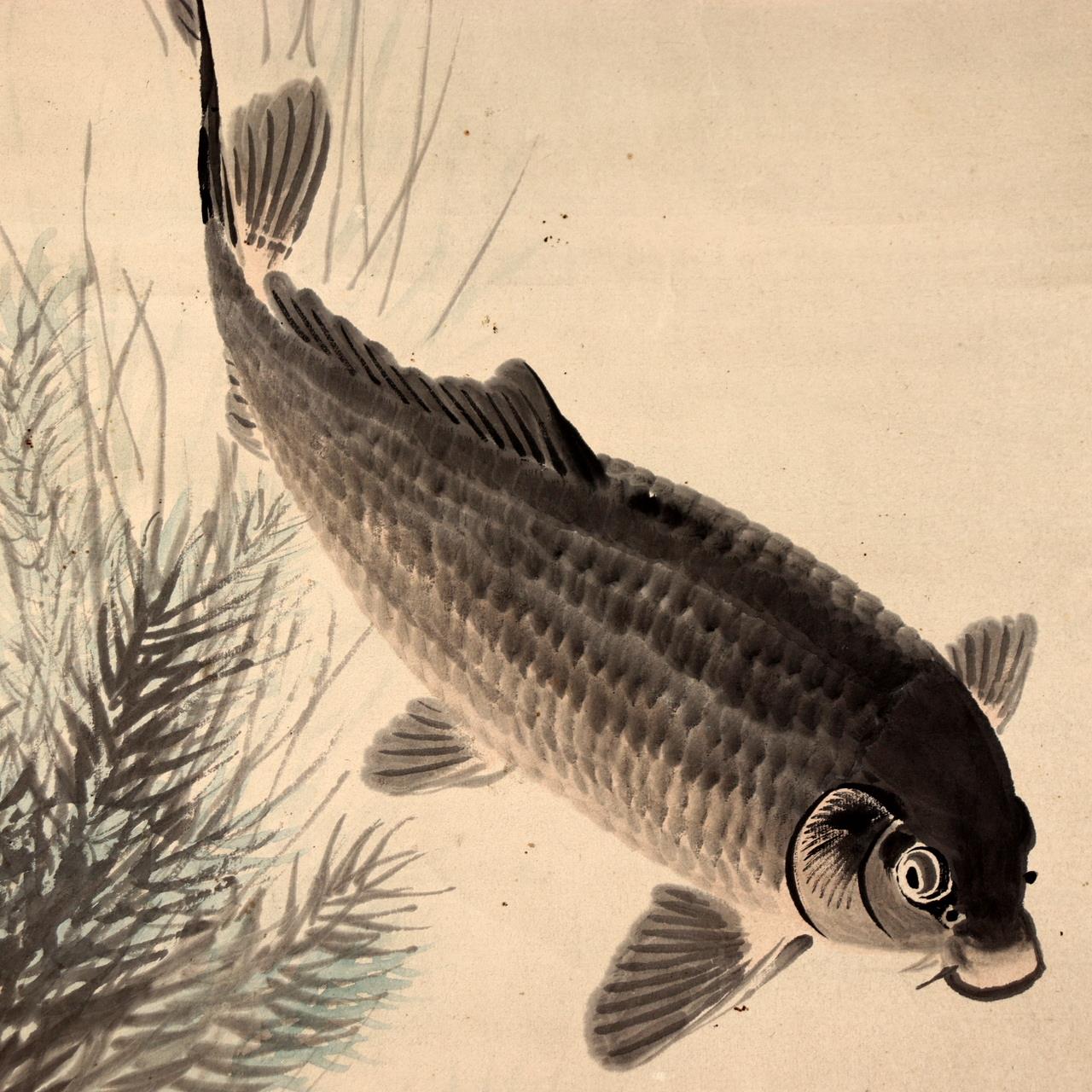 Japanese Kakejiku Scroll Carp Koi Fish Hand Painted Utsumi Kichido w / Box12