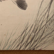 Japanese Kakejiku Scroll Carp Koi Fish Hand Painted Utsumi Kichido w / Box14